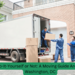 Washington DC Movers , carefully handling packing for transportation.